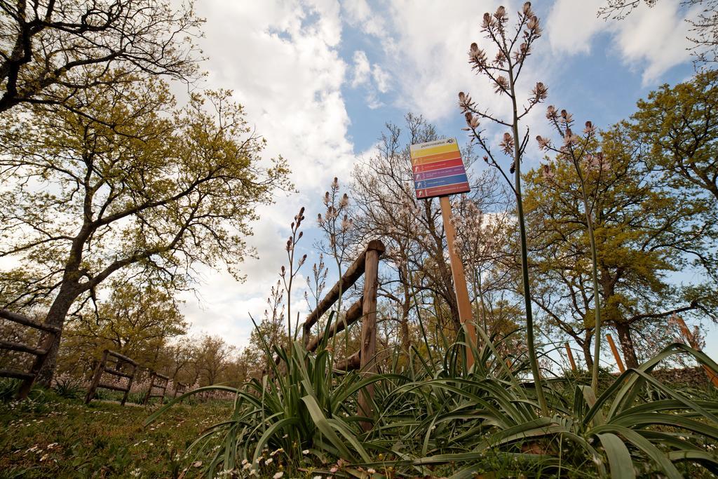 Tenute D'Onghia Gioia Del Colle Buitenkant foto