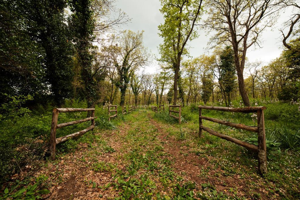 Tenute D'Onghia Gioia Del Colle Buitenkant foto
